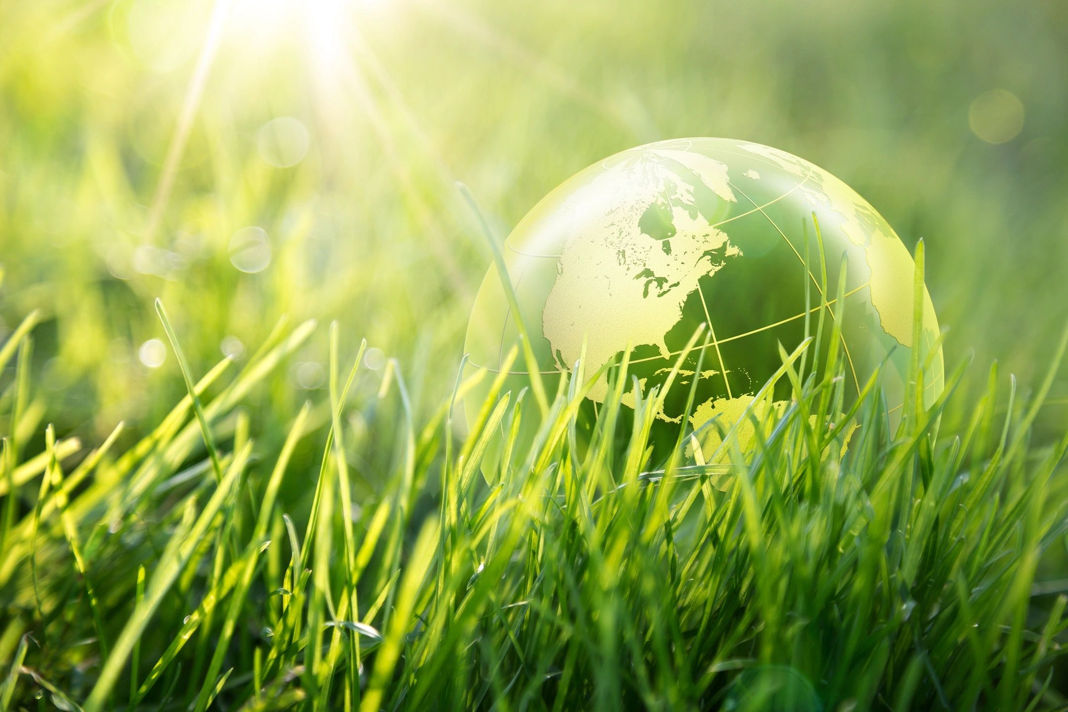 ReplaceSustainability-1 ReplaceSustainability-1